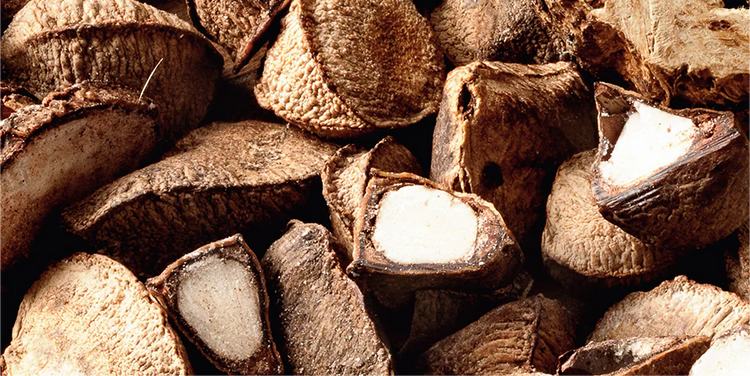 EKOS CASTANHA NATURA